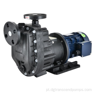 Bomba magnética de escorvamento automático TXM 1 / 4-5HP